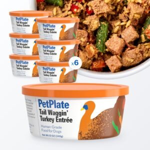 Purina ONE Natural Adult Chicken & Rice Formula Dry Dog Food, 40-lb bag