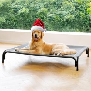 Coolaroo Steel-Framed Elevated Dog Bed, Brunswick Green, Large