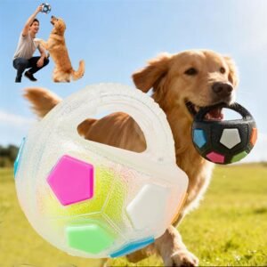 KONG AirDog Football Dog Toy, Large