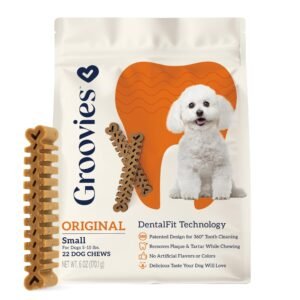 SunGrow Teddy Bear Dog & Small Pet Dental Chews Toy, 5-in