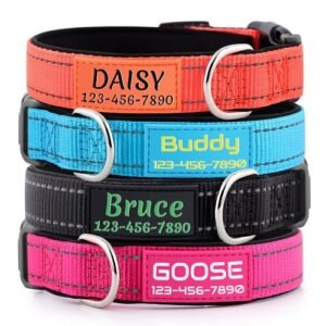 GoTags Nylon Personalized Dog Collar, Pink, Medium: 14 to 20-in neck, 3/4-in wide