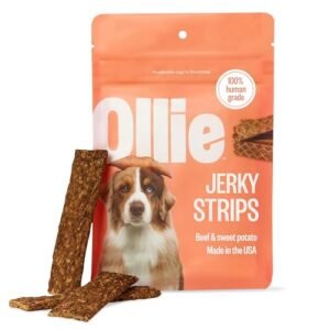 Plato Beef with Bone Broth Grain-Free Jerky Dog Bites, 6-oz bag