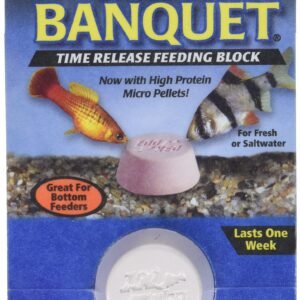 Zoo Med Original Banquet Time Release Fish Feeding Block