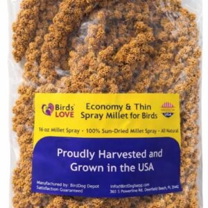 Kaytee Fiesta Variety Mix Parakeet Food, 4.5-lb bag