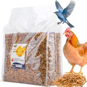 Roudybush Daily Maintenance Medium Bird Food, 10-lb bag