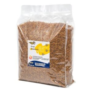 Predator Foods Live Mealworms, Small, 250 count