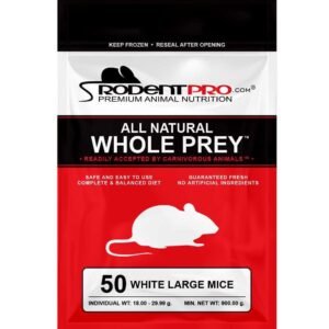 Feeder Insects Live Superworm Reptile Food, Large, 500 count