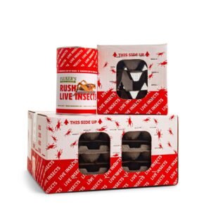 Feeder Insects Live Mealworm Reptile Food, Large, 250 count