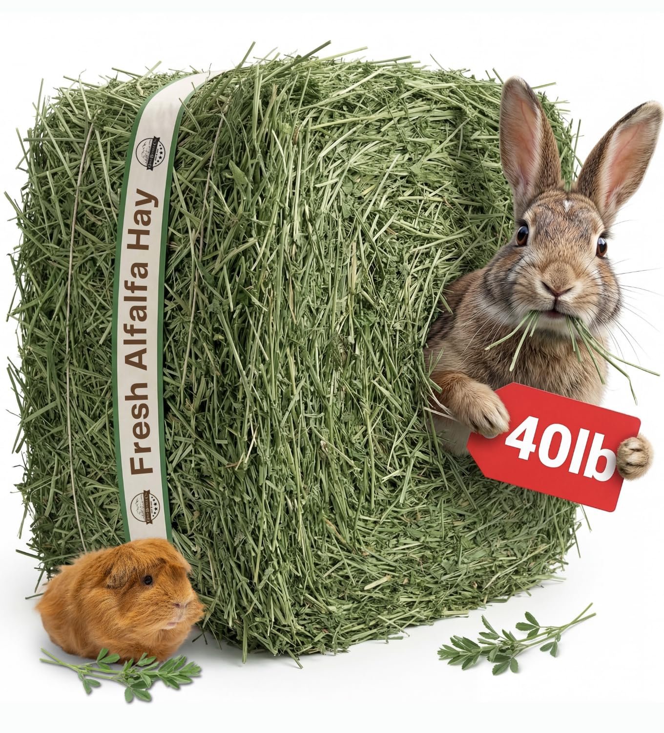 Kaytee Alfalfa Cubes Small Animal Food, 15-oz bag