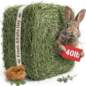 Vitakraft Menu Alfalfa Pellets Blend Vitamin & Mineral Fortified Premium Rabbit Food, 5-lb bag