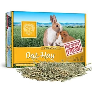 Oxbow Oat Hay Small Animal Food, 15-oz bag