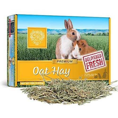 Oxbow Oat Hay Small Animal Food, 15-oz bag
