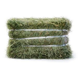 Oxbow Orchard Grass Hay Small Animal Food, 9-lb bag