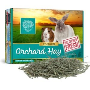 Small Pet Select Orchard Grass Hay Small Animal Food, 10-lb box