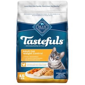 Cat Chow Essentials 7+ Immune + Joint Health Recipe Senior Dry Cat Food, 14-lb bag