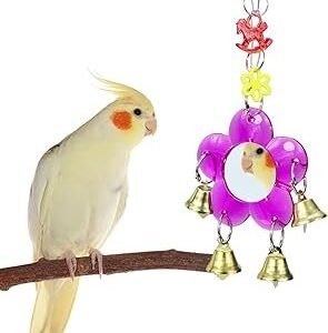 Bird Mirror Toy Hanging Ringer Bell Colorful Swing Cage Toy with Sweet Sound for Small Medium Parrot Parakeet Conure Cockatiel Cockatoo Macaw Amazon Finch Cage Accessories