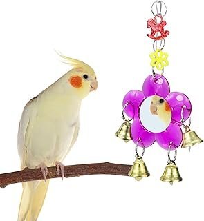 Bird Mirror Toy Hanging Ringer Bell Colorful Swing Cage Toy with Sweet Sound for Small Medium Parrot Parakeet Conure Cockatiel Cockatoo Macaw Amazon Finch Cage Accessories
