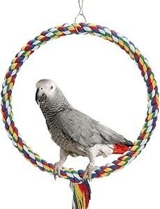Bird Rope Swing Colorful Perch Climbing Toy for Parrots Budgie Parakeet Cockatiel Cockatoo Conure (M (10.4 inch)