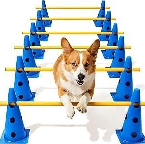 Dog Agility Course Backyard Set, Dog Agility Hurdle Cone Set with Height Adjustable Crossbar for Rehabilitation & Beginners, Dog Agility Equipment for Dog Obstacle Course - 12 Inch