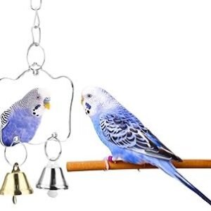 Hypeety Pet Bird Mirror Toy with Bells Hanging Toy for Parakeet Cockatiel Conure Lovebirds Finch Canary Cage Swing Fun Play Toy (Bird Mirror-2 Bells)