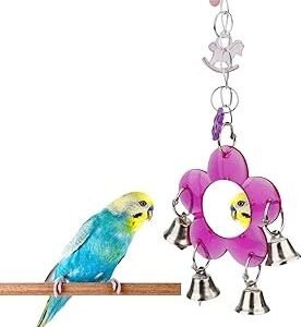 Hypeety Pet Bird Mirror with Bell Interactive Parrot Toy for Parrot Macaw African Greys Budgies Cockatoo Parakeet Cockatiels Conure Lovebird Cage Bells Mirror (B)