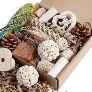 Kyouki Bird Toys Parrot Toys Natural Bird Foraging Box Foot for Parakeets,Cockatiels,Conures,Love Birds,and Other Small to Medium Birds (Medium)