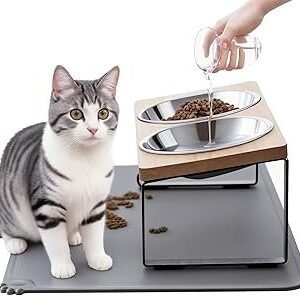 Upgraded Elevated Cat Bowls with Food Mat,15°Tilted Stand Anti Vomiting Raised Cat Dishes for Food and Water,2 Stainless Steel Bowls for Cats and Puppy