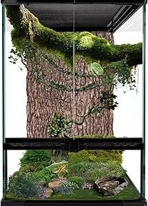 11 Gallon Reptile Glass Tank Vertical Terrarium 12"x12"x18" Habitat Enclosure with Front Openning Door and Top Screen Ventilation for Geckos, Snakes,Tree Frogs,Chameleon
