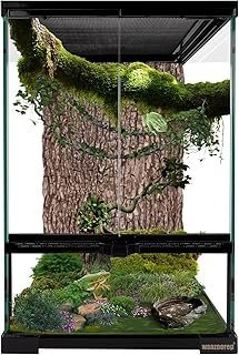 11 Gallon Reptile Glass Tank Vertical Terrarium 12"x12"x18" Habitat Enclosure with Front Openning Door and Top Screen Ventilation for Geckos, Snakes,Tree Frogs,Chameleon