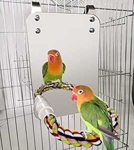 BWOGUE 7 Inch Bird Mirror with Rope Perch Cockatiel Mirror for Cage Bird Toys Swing Parrot Cage Toys for Parakeet Cockatoo Cockatiel Conure Lovebirds Finch Canaries