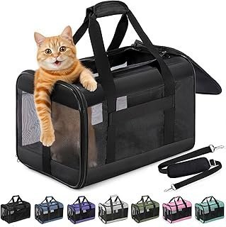 Cat Carrier Airline Approved, Soft-Sided Dog Carrier with Inner Safety Leash, Pet Transport Carrier for Small-Medium Cats Puppies up to 15 Lbs, Collapsible Travel Kitten Carrier Bag -BlackM