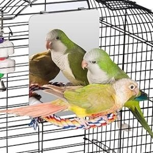 Colorday 7" Bird Mirror for cage with Rope Perch, Bird Swing, Parrot Cage Toy for Parakeet Budgie African Grey Conure Cockatiel Lovebird Finch Canarie, Medium