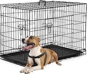 FDW Dog Crate Dog Kennel Cage with Double Door,36 inch Folding Metal Wire Dog Cage with Removable Tray&Divider Panel,Pet Crate for Medium Dogs,Black