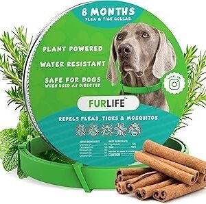 FurLife Flea and Tick Collar for Dogs – Waterproof Green Dog Collar, Pet Supplies for Tick and Flea Prevention for Dogs, Safe for All Breeds