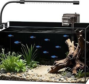 Glass Fish Tank Kit, 5 Gallon Betta Fish Tank Aquarium Starter Kit with Filter, Lights, Lid, for Betta, Goldfish, Small Fish or shrimg