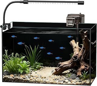 Glass Fish Tank Kit, 5 Gallon Betta Fish Tank Aquarium Starter Kit with Filter, Lights, Lid, for Betta, Goldfish, Small Fish or shrimg