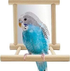 Hypeety Bird Parrot Mirror Toy Swing Hanging with Perch for Parrot Parakeet Budgies Cockatiel Conure Finch Lovebird (D)