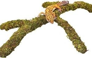 Leopard Gecko Tank Accessories, Adjustable Climbing Toys Supplies, Terrarium Habitat Decor