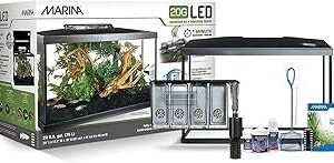 Marina 20 Gallon LED Aquarium Kit – Complete Fish Tank Setup with Filter, Lighting & Accessories