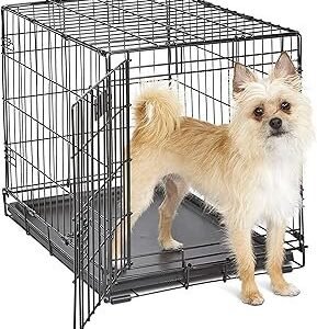 MidWest Homes for Pets 24-Inch iCrate for Small Breeds, 12-20 lbs, Single Door Folding Dog Crate with Divider Panel, Leak-Proof Tray & Secure Latch, Portable, Durable & Easy to Assemble