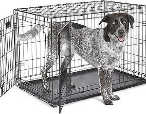 MidWest Homes for Pets 36-Inch iCrate for Medium-Large Breeds, 41-70 lbs, Double Door Folding Dog Crate with Divider Panel, Leak-Proof Tray & Secure Latches, Portable, Durable & Easy to Assemble