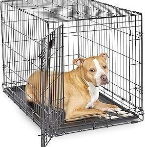 MidWest Homes for Pets 36-Inch iCrate for Medium-Large Breeds, 41-70 lbs, Single Door Folding Dog Crate with Divider Panel, Leak-Proof Tray & Secure Latches, Portable, Durable & Easy to Assemble