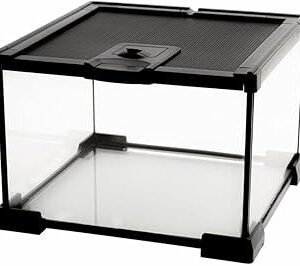 Mini Reptile Glass Terrarium Tank, cage for Tarantula Sling Geckos, Frog, Lizards, Chameleons,Turtles Snake Snail Insect Hermit Crab Isopods Reptiles Enclosure (7.9x7.9x5.7inch)