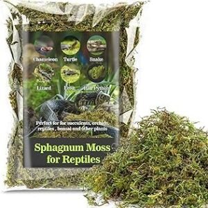 Sukh Sphagnum Moss for Reptiles - Terrarium Reptiles Moss Green Dried Peat Moss Habitat Bedding Moss for Snakes Turtle Frog Gecko and Other Reptiles Substrate (5, Ounces)
